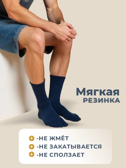 Набор мужских носков ТМ "ЦУМ" 10 пар 3 цвета