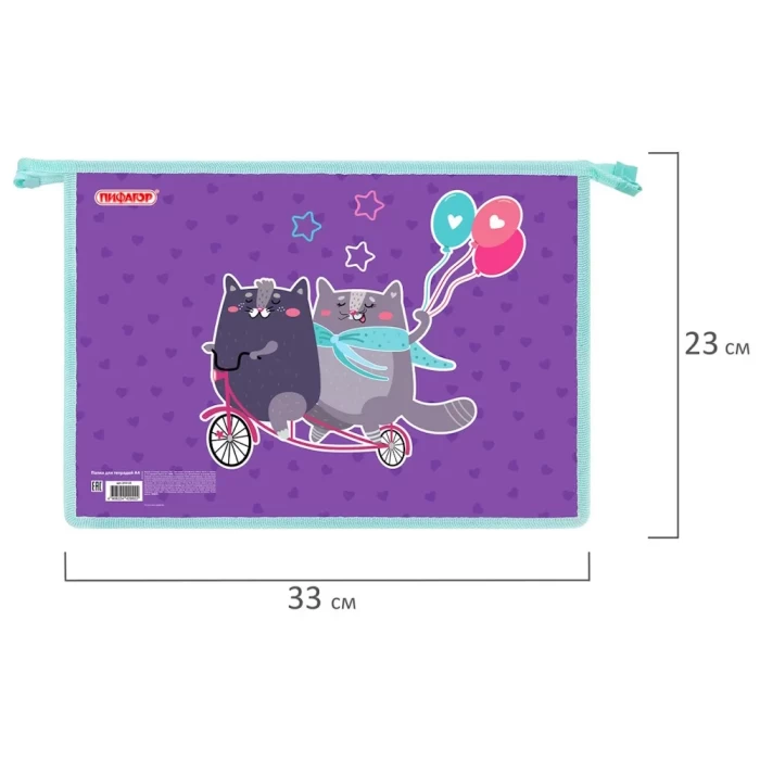 Папка для тетрадей А4 Пифагор 272125