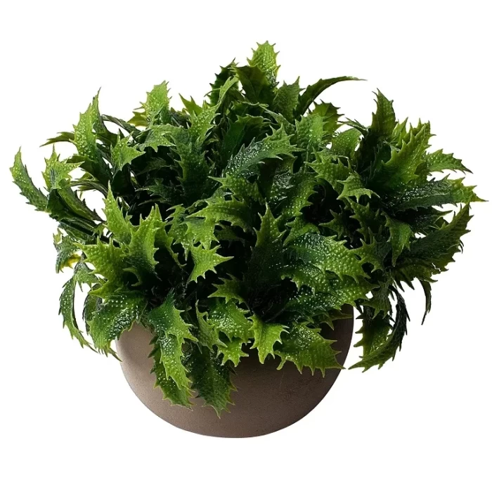 Искусственное растение AE9781 AU188-038