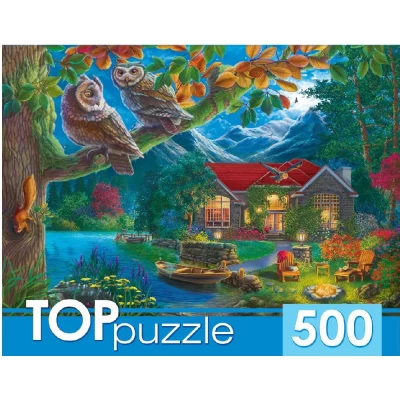 Пазл TOPpuzzle Ночной пейзаж и совы 500 элементов