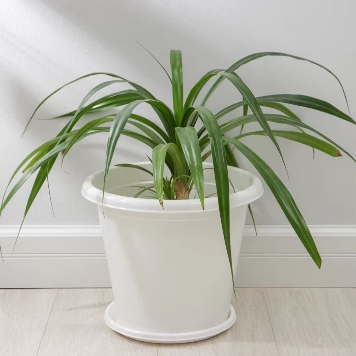 Горшок для цветов Альтернатива Эконом белый