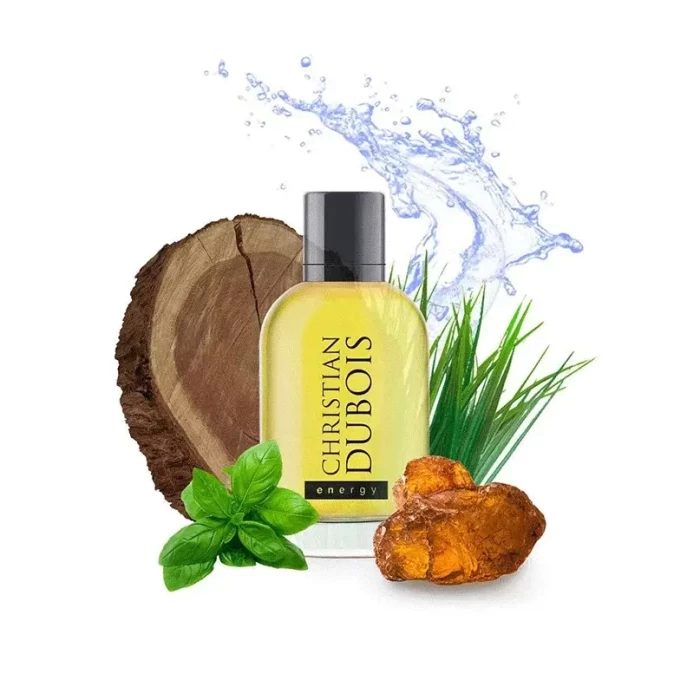 Туалетная вода Dilis Parfum Christian Dubois Energy 100мл