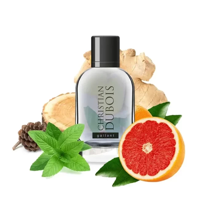 Туалетная вода Dilis Parfum Christian Dubois Gallant 100мл